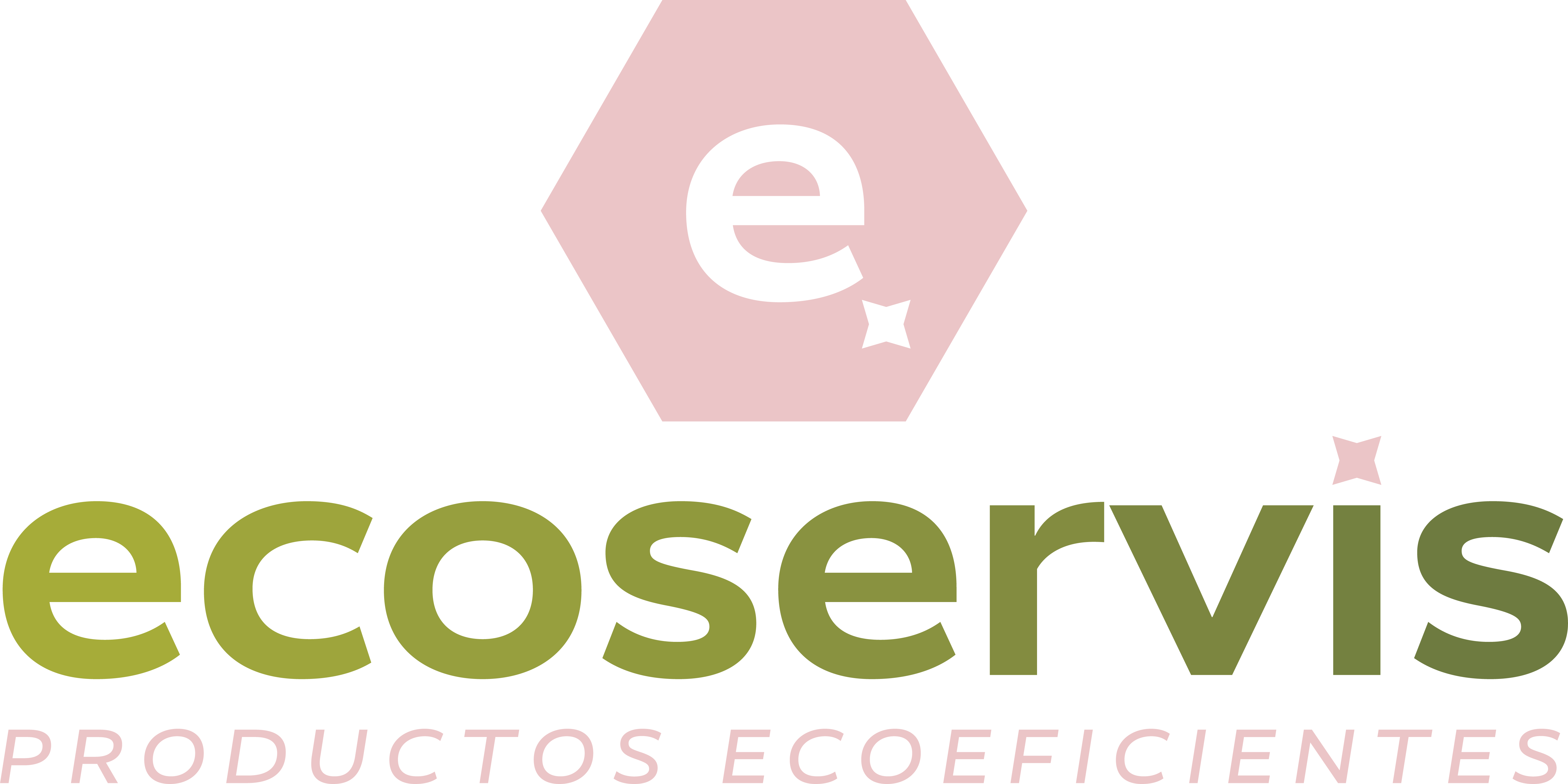 ecoservis